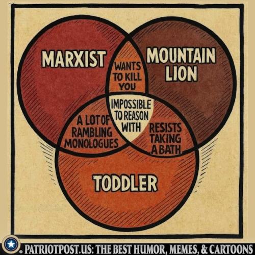 01K1AYWN6SY6FHKYPB20B3VS11