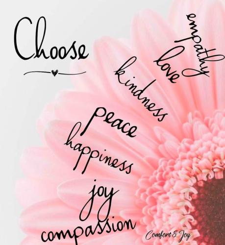 d19eca37a526e67c3564ba81617753a7