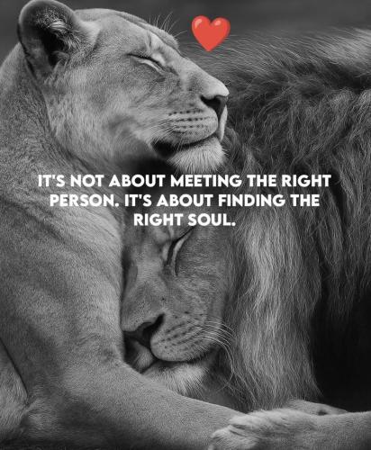 2e88244cb0898dd032ac47d00c33db58