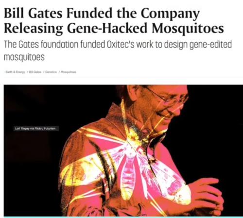 3ACC2F0D-933A-4D5A-9522-847D3C85B5B1