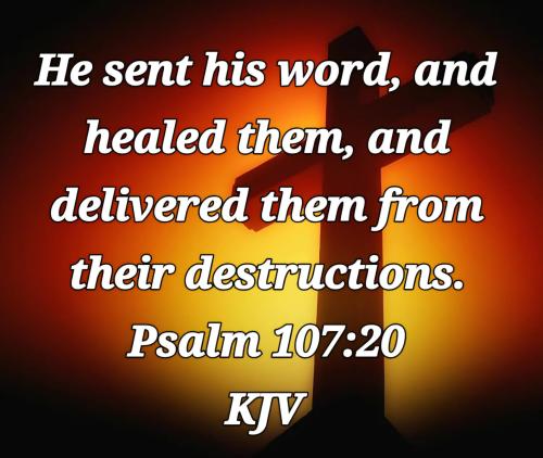 1217d5e3-2399-44f1-9f77-d3711e75876d