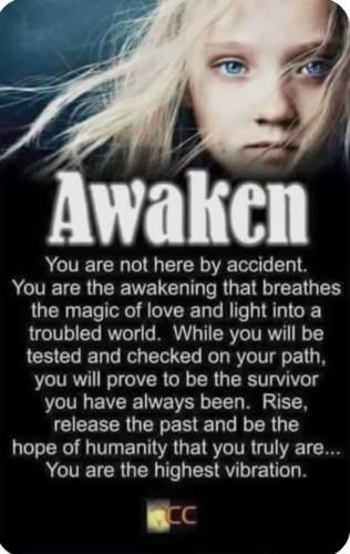 518361418_1782335412710776_5012667736540531013_n