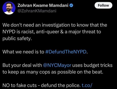 zohran mamdani defund