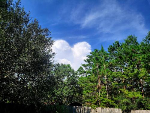 521897785_10230591892166599_4579506360830376467_n