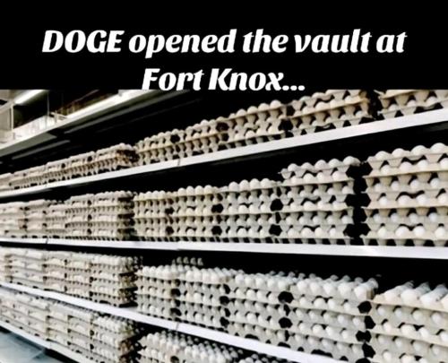doge-fort-knox
