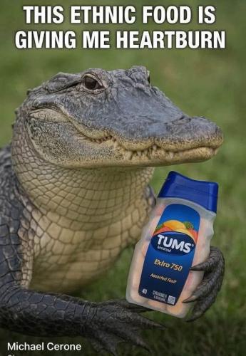 515493038_716271627936002_6620796831437169605_n