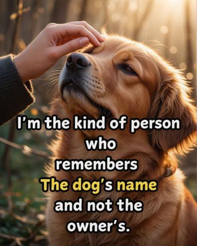 9e50e83177826dd7d57ddd905e6d3b95