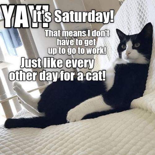 00c8a5a54524f201e5e8150afebe341d