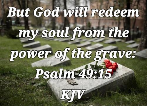 77578abb-56b1-46c8-839b-7a4876dc9730