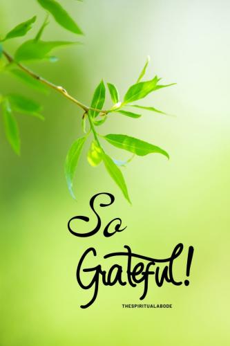 13595500b7e37e63bffd6dea0d45adb9