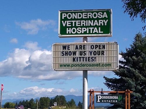 vet porn
