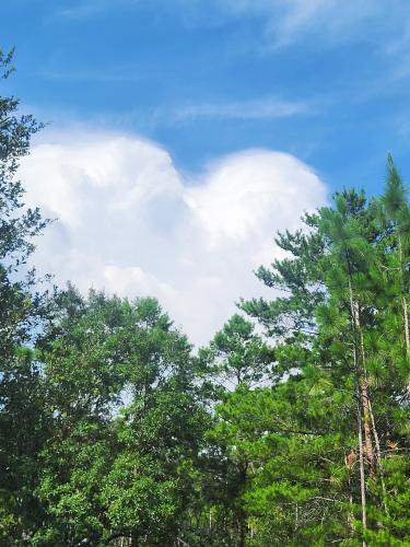 521586002_10230591892646611_8419320661163363202_n