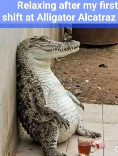 FB_IMG_1751647841935