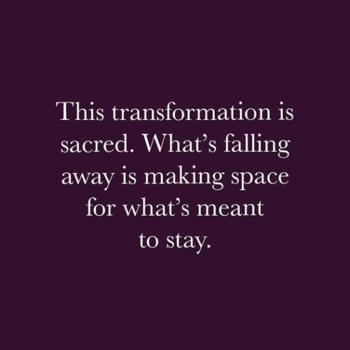 518382547_1771154270157118_478998276350258376_n