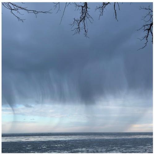 f55ee2ff-a276-4772-a253-2d993a592f00