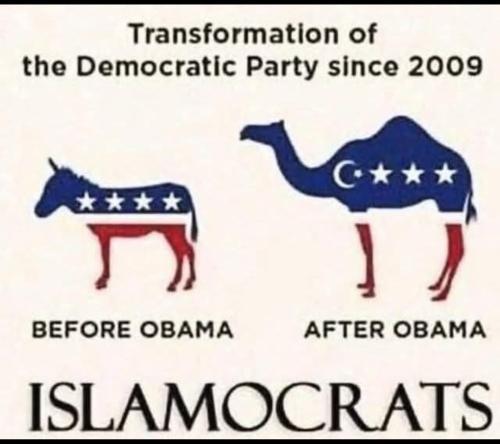 2F672B6E-C1C4-4C76-A795-71CF935DE007