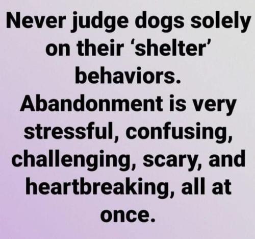 e2143c41ae301e3b303b1ca8658f15ee