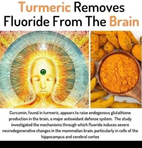 ,         418235313_73391130547