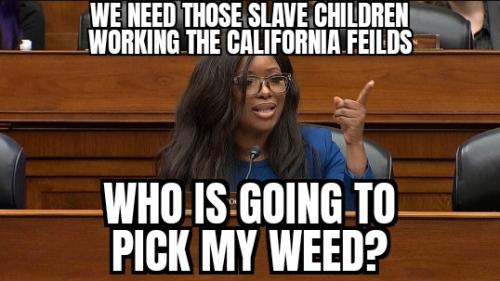 ZomboMeme 11072025104550