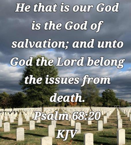 11891321-f0be-4644-9a9d-be9880c47cad