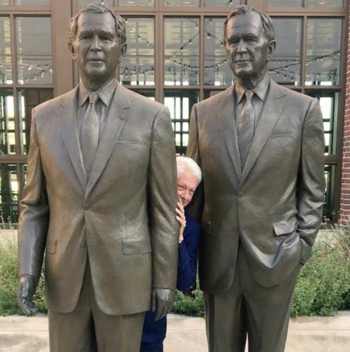 hiding among the bushes