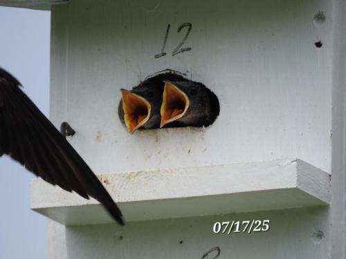 ae01b265-253f-4ec0-b0ee-2eff312fa824