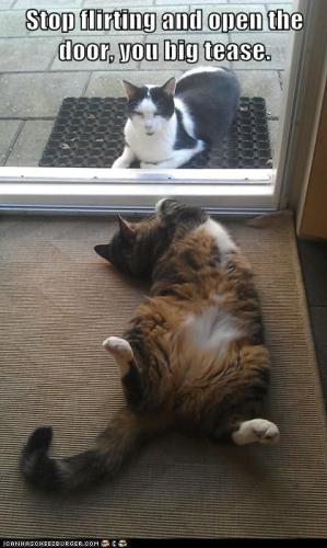 15b6c32b2ec4e9ab284ab1760fb3b4a0