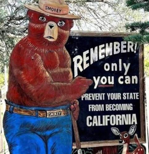 A5EACAB8-D571-4CD0-B9DB-50B4B7DFF5C5