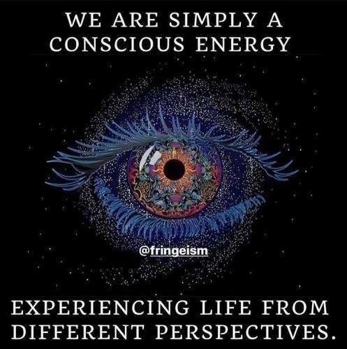 782253ec8bca5dc2cae2ddb96a201ccb