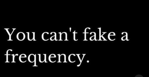515203577_10164079273358933_422655000746804834_n