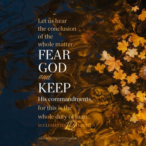 ecc-12-13-KJV-unsplash-9x