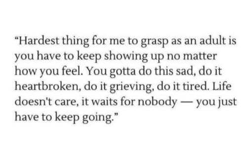 517125873_23987317584230003_4193006418899035636_n