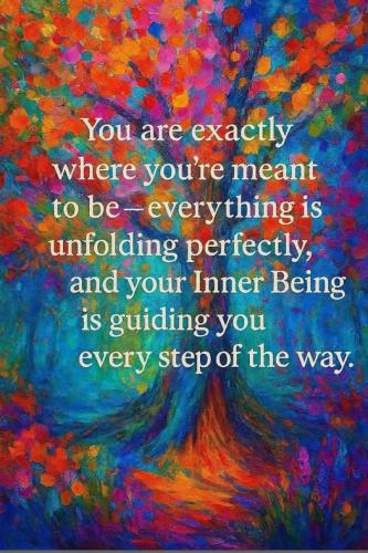 519358558_1298393048958044_2408643203853872611_n