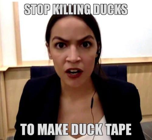stop killing ducks
