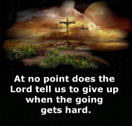 80ef7ed8-7360-4659-b190-d2745e59a195