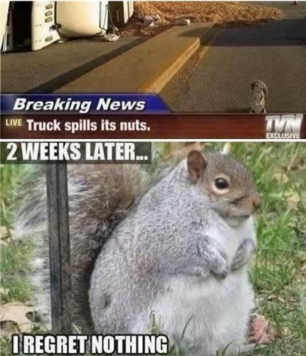 nuts