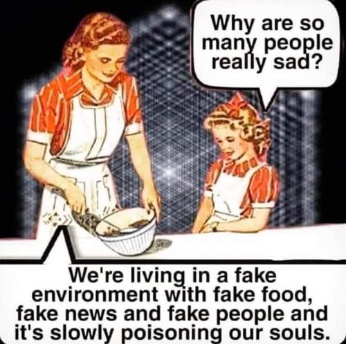 517603661_1147045154118177_8986918667230336607_n