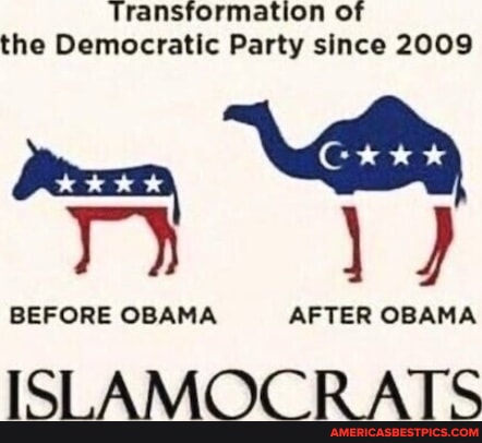 37e002e55a36dc19750263e13d270886727aecf2ef8841e00b417c5b2469fb54_1