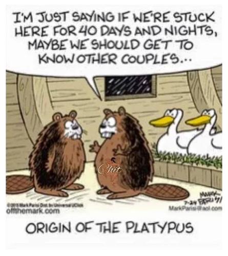 platypus