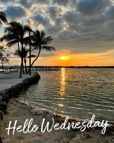 524842958_1337879931672311_8217883481385608627_n