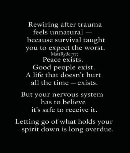 518287195_1284531826491706_1354093249013481468_n