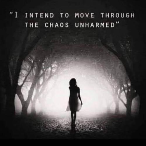 515010001_738084529107742_5435655975598306267_n