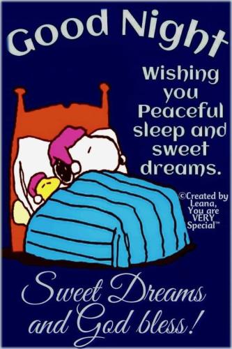 b477da17012fd9f0712ad671268bacab