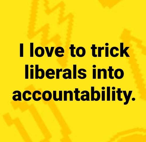 FB_IMG_1753552629293