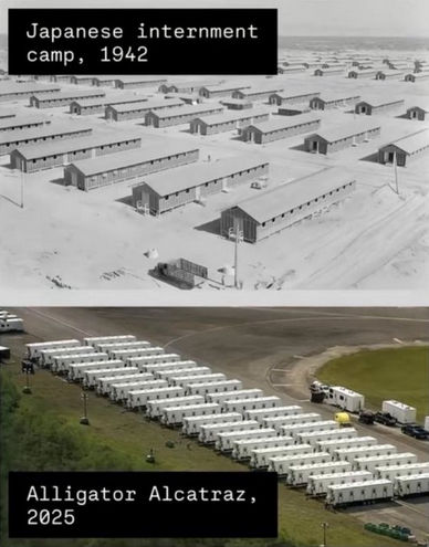 allagator alcatraz04