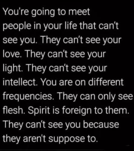 516913253_1871942950268879_4584123018293380918_n