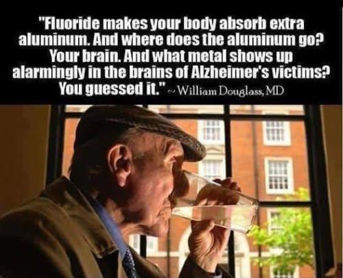 515256555_1230410159095502_5673415639672732407_n