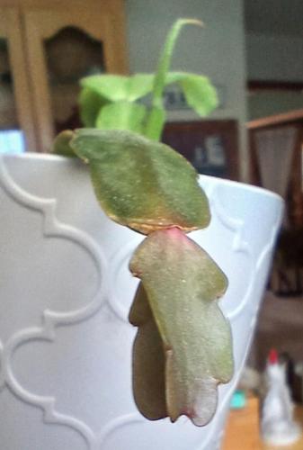 755f9473-b165-4ef1-83eb-b17522d1e758