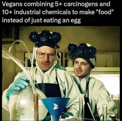 vegans-making-food