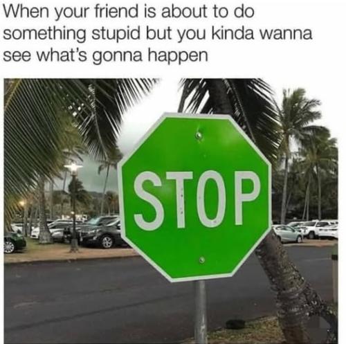 519130914_122219834276088259_2571567061359956079_n